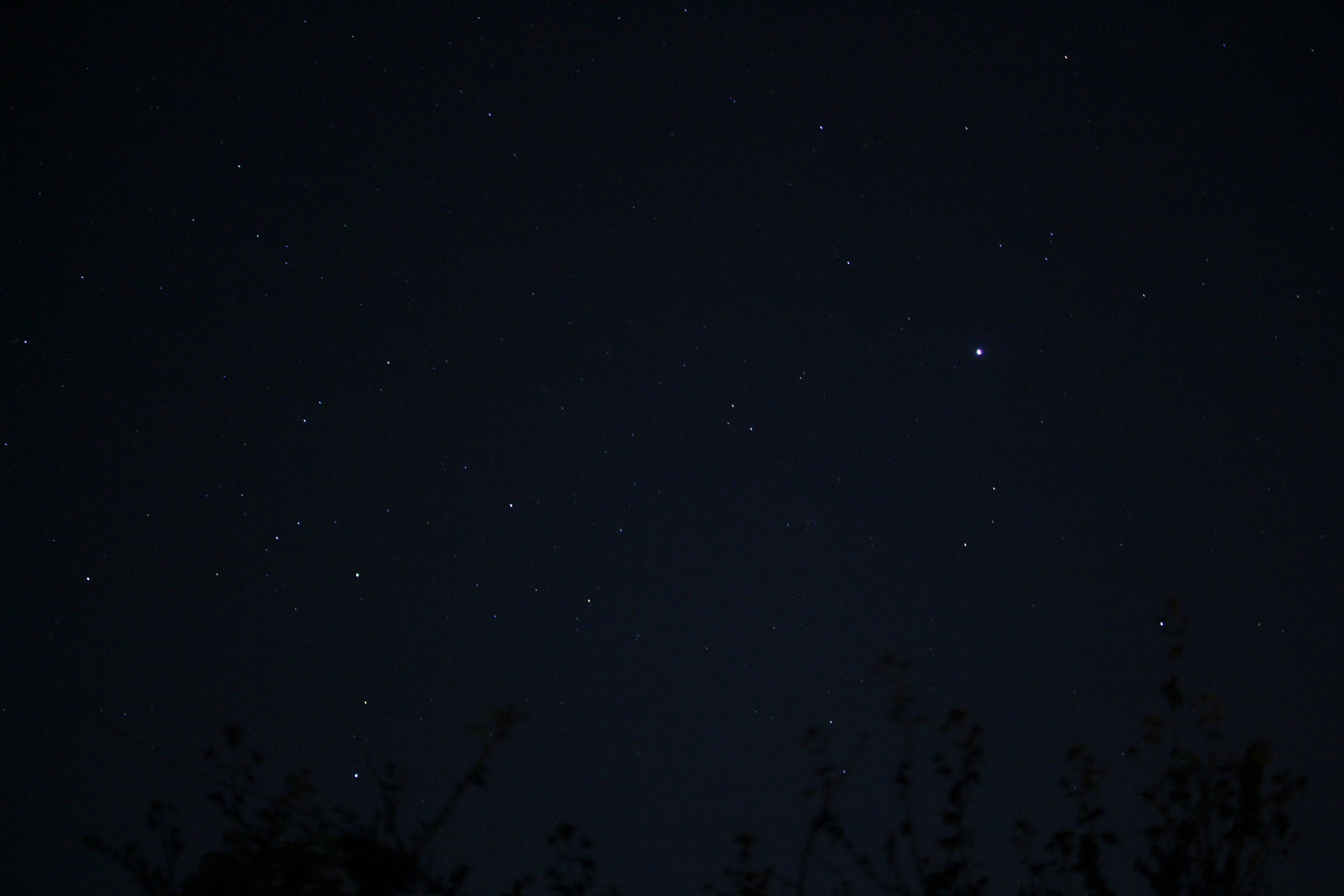 Canis Major
